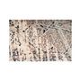 Voir la diapositive 3 : Paris Prix Tapis Vintage Motif Oriental  Galaxy IV  Beige & Bleu