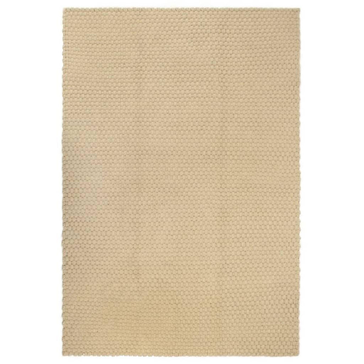 VIDAXL Tapis rectangulaire Naturel 80x160 cm Coton