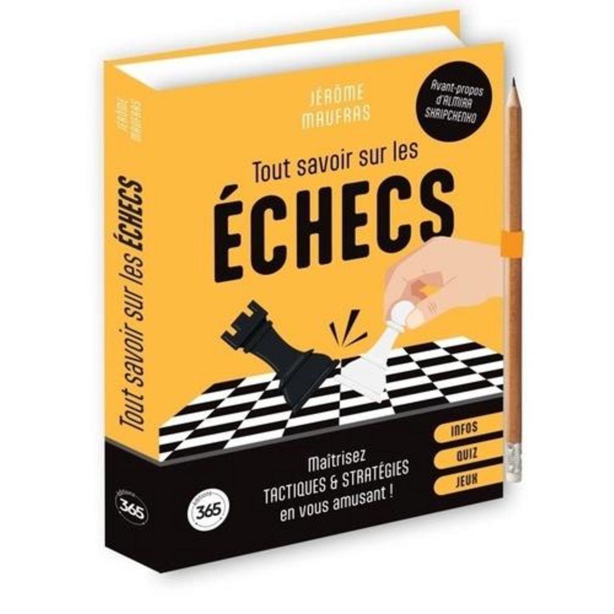 TOUT SAVOIR SUR LES ECHECS. MAITRISEZ TACTIQUES & STRATEGIES EN VOUS AMUSANT !, Maufras Jérôme