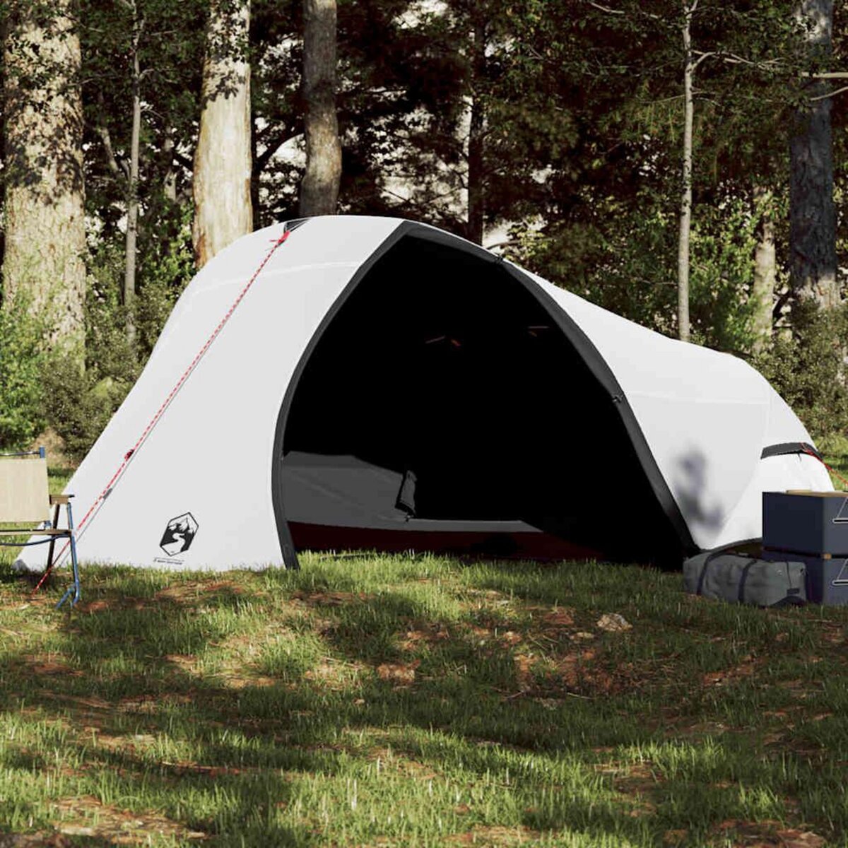 VIDAXL Tente de camping a dome 4 personnes tissu occultant impermeable