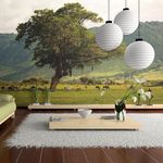 Paris Prix Papier Peint  In a Crater of Ngoro Ngoro. Coloris disponibles : Multicolore