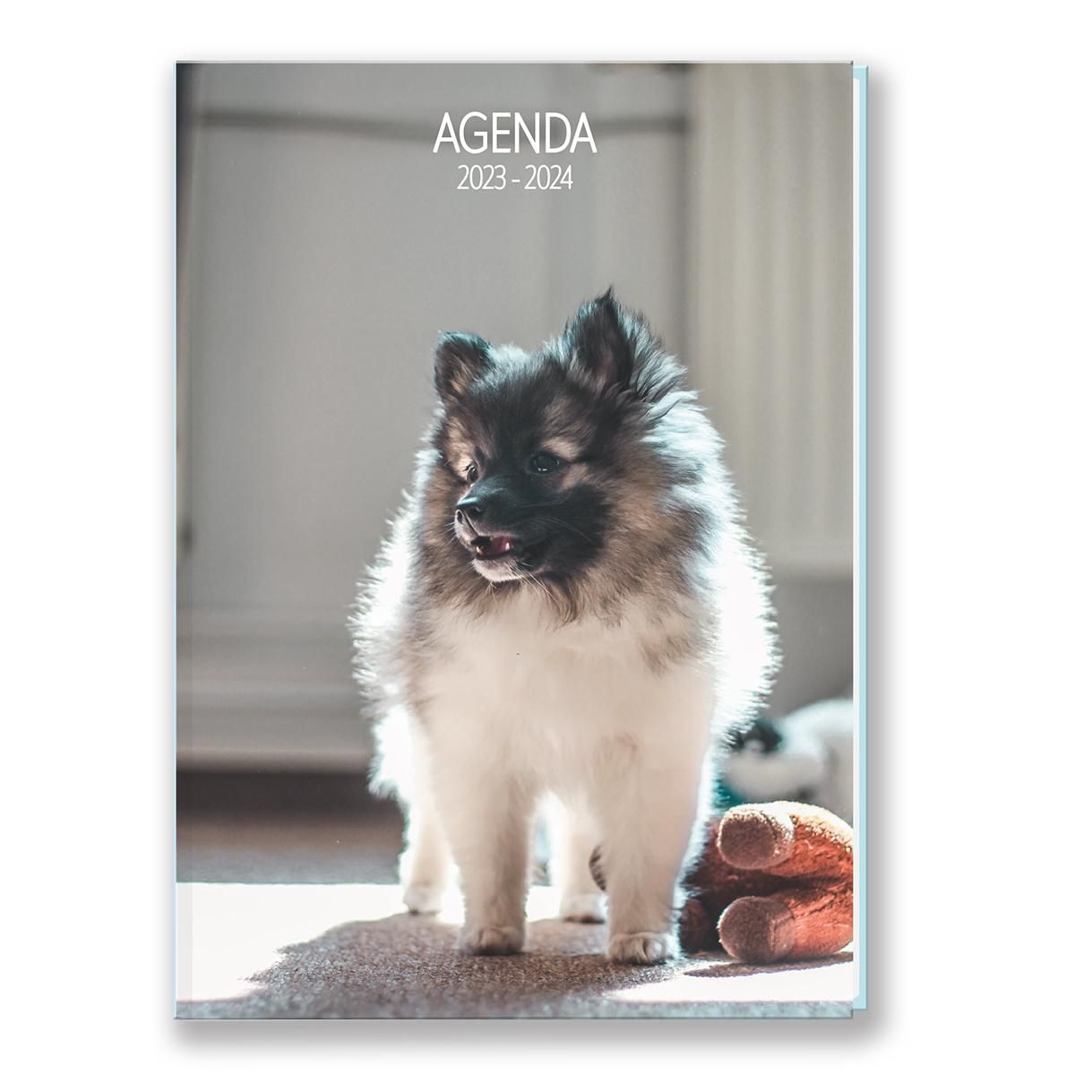 AUCHAN Agenda scolaire journalier fille rembordé 12x17cm chien 2023-2024