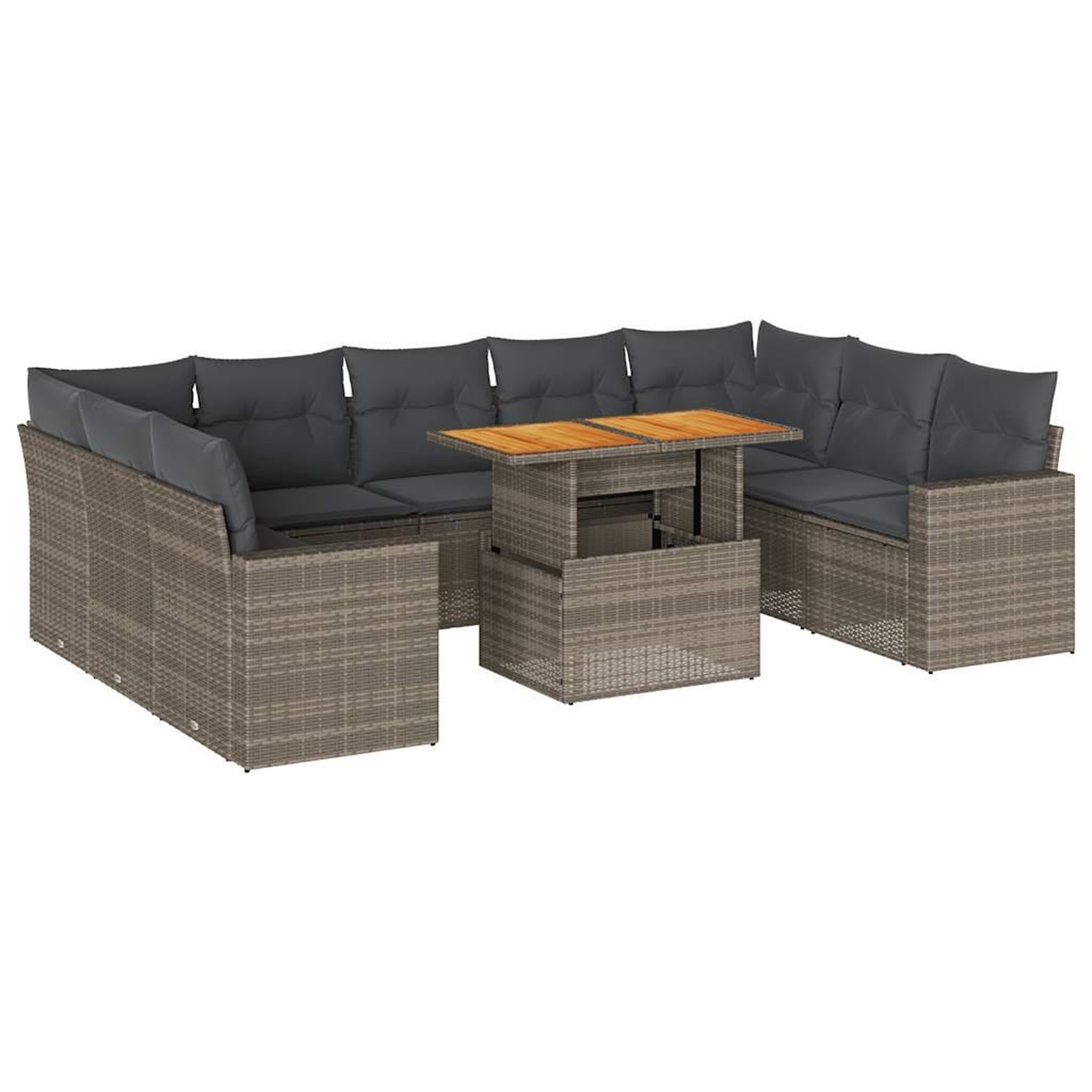 Voir la diapositive 2 : VIDAXL Salon de jardin avec coussins 10 pcs gris resine tressee