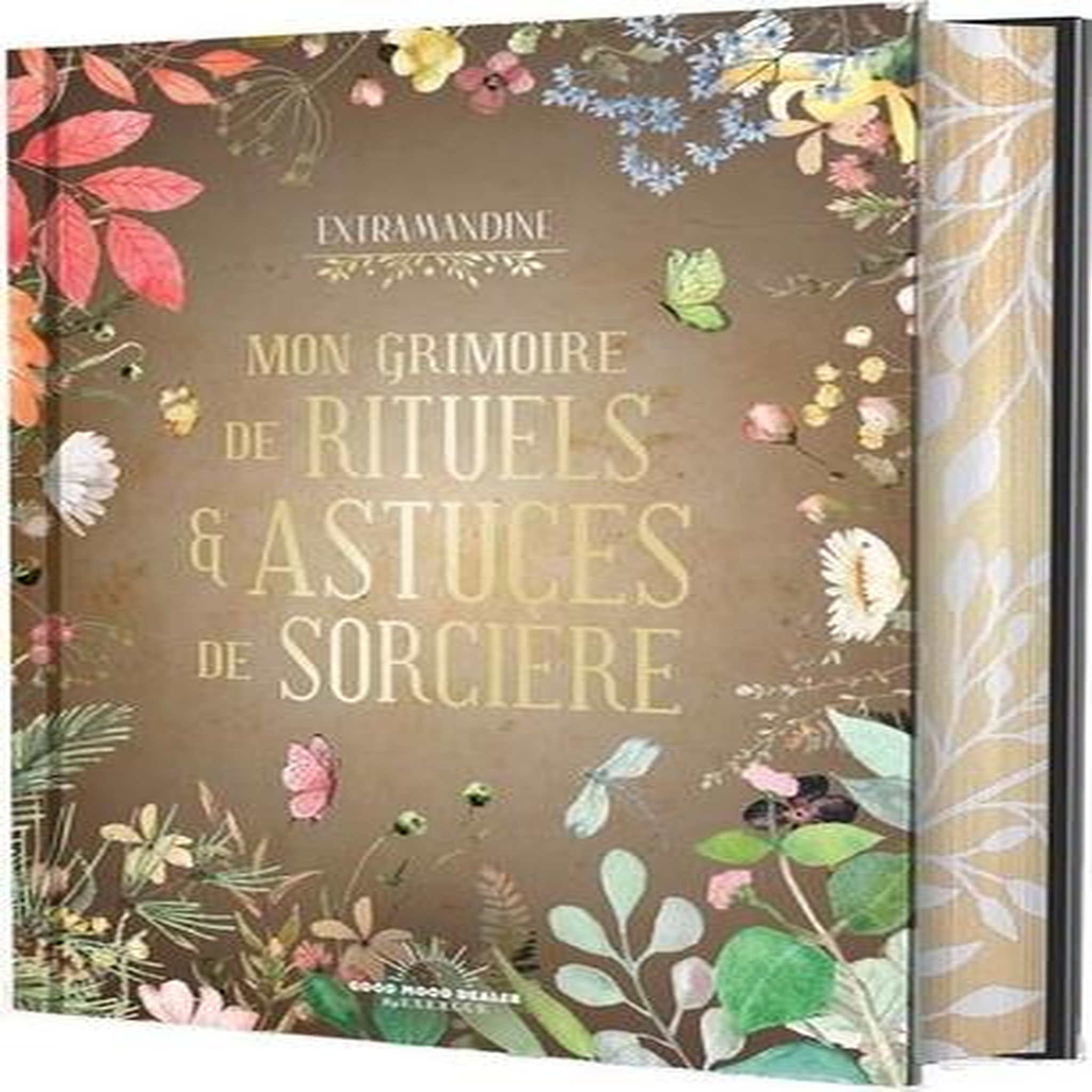 MON GRIMOIRE DE RITUELS & ASTUCES DE SORCIERE, Extramandine