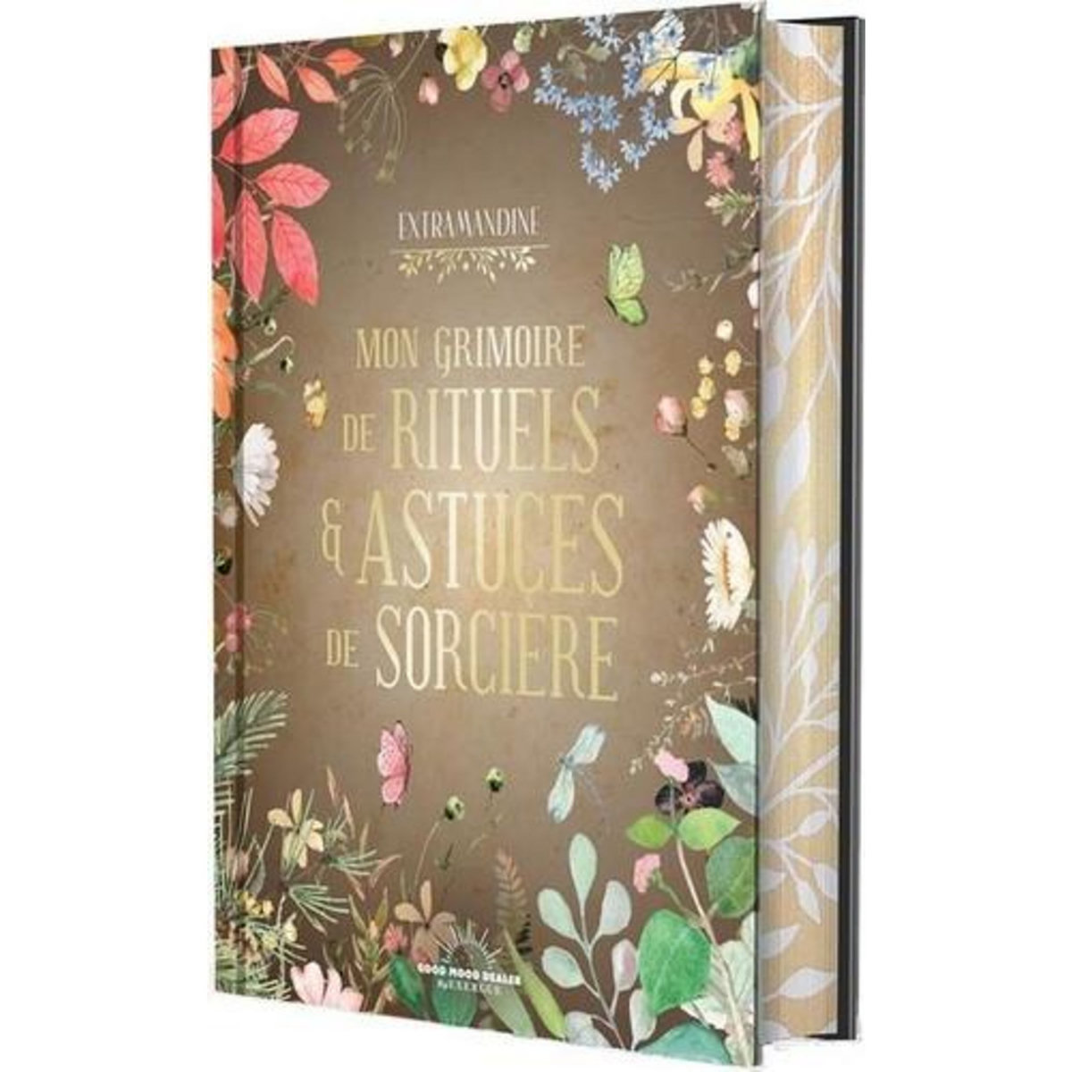 MON GRIMOIRE DE RITUELS & ASTUCES DE SORCIERE, Extramandine