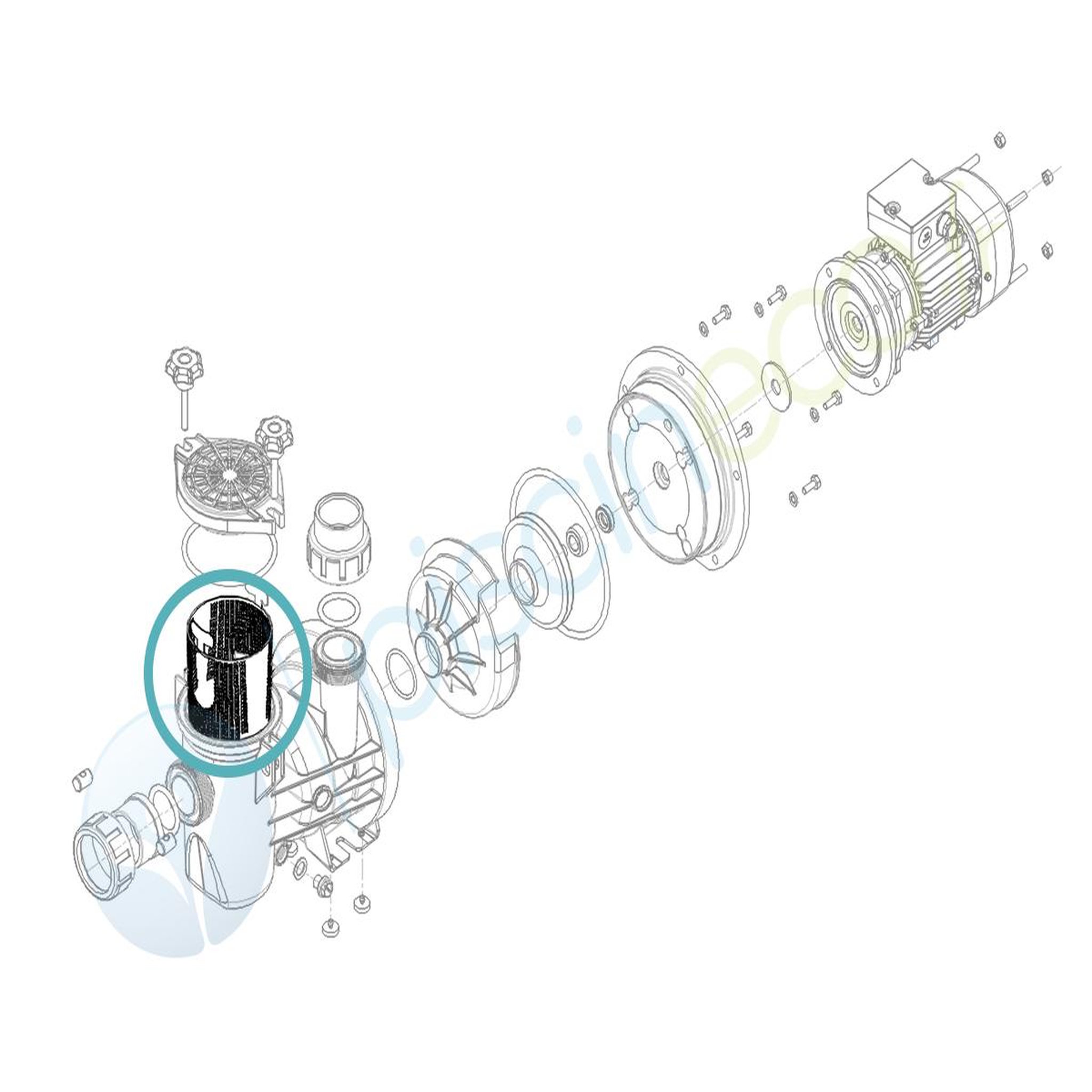 HYDROSWIM Panier de préfiltre pour pompe série hps ou série hkv - hydroswim