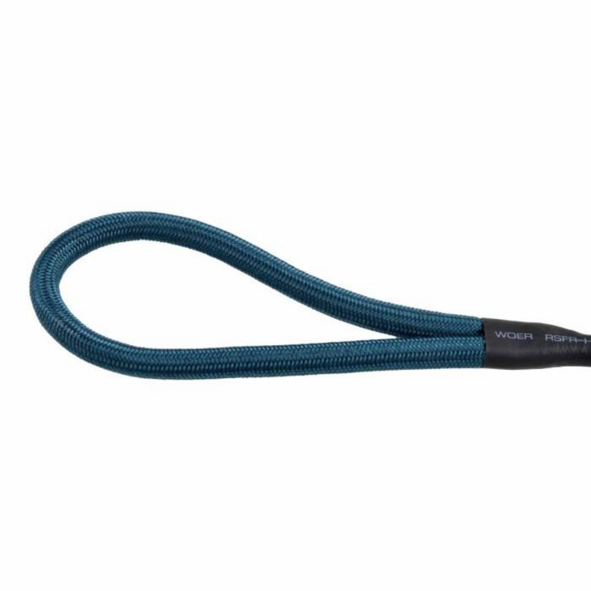 Paris Prix Laisse Ronde pour Chien  Essentiel  100cm Émeraude