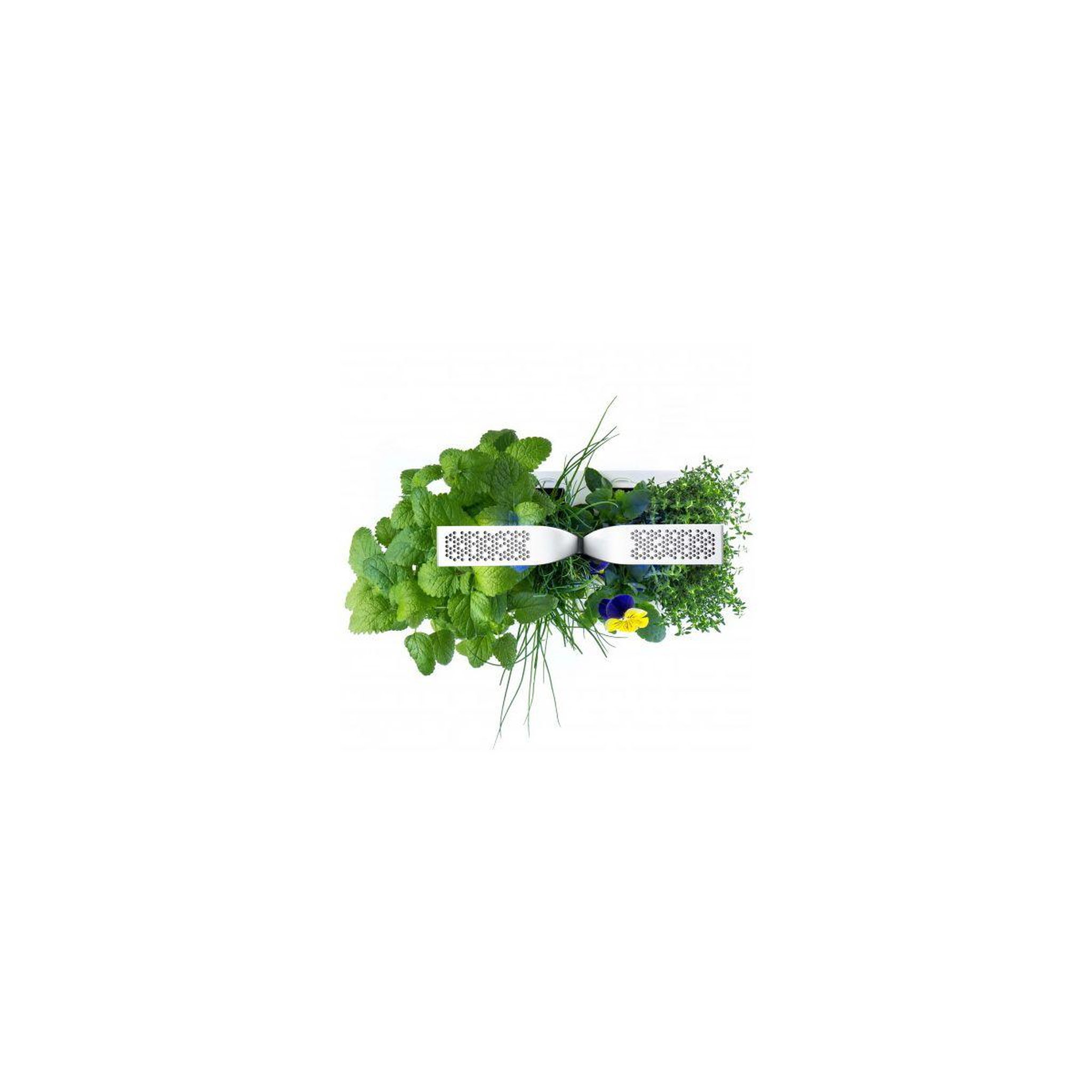 Voir la diapositive 3 : VERITABLE Jardin d'intérieur Classic Blanc