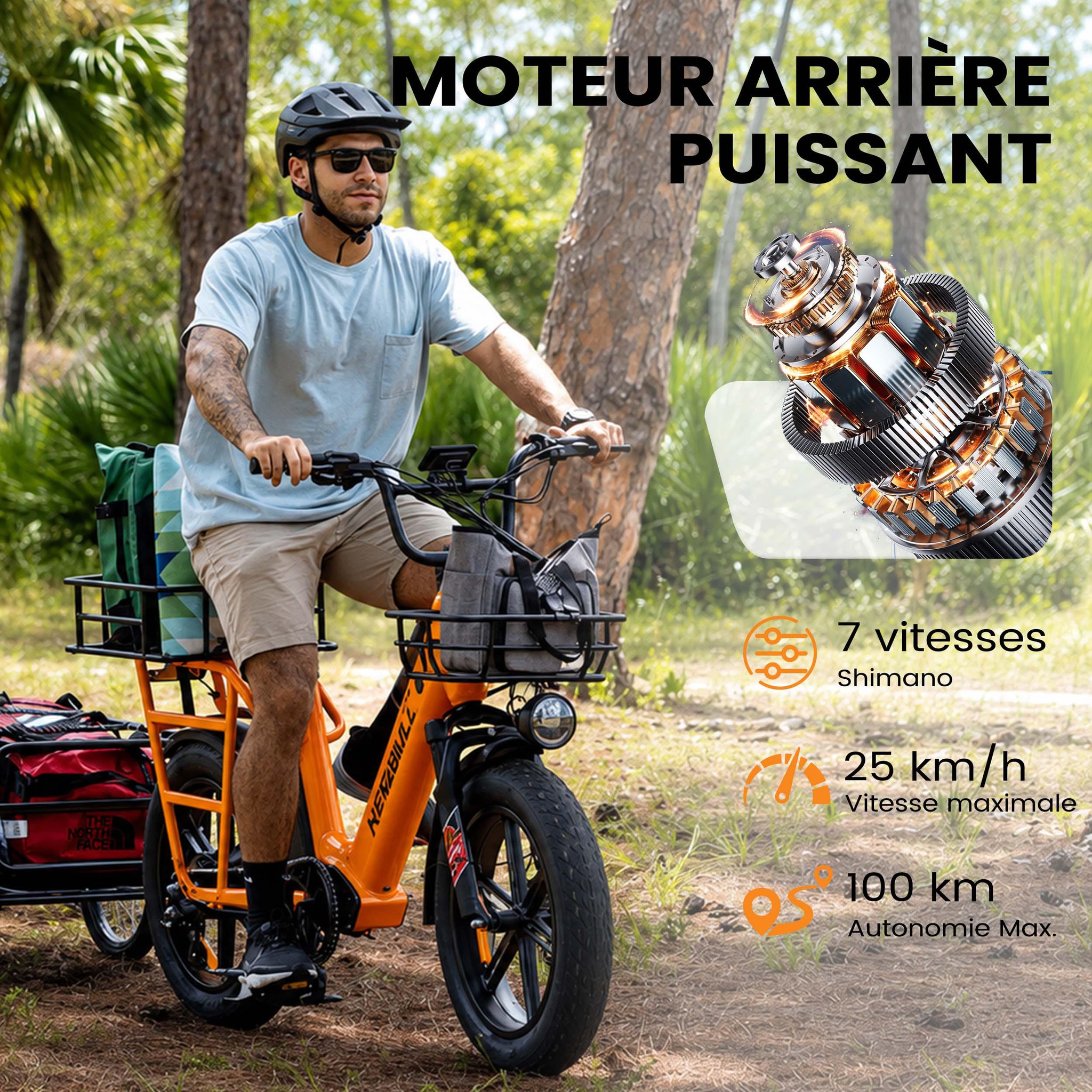 Voir la diapositive 3 : KINGBULL Vélo cargo électrique kingbull voyager 2.0