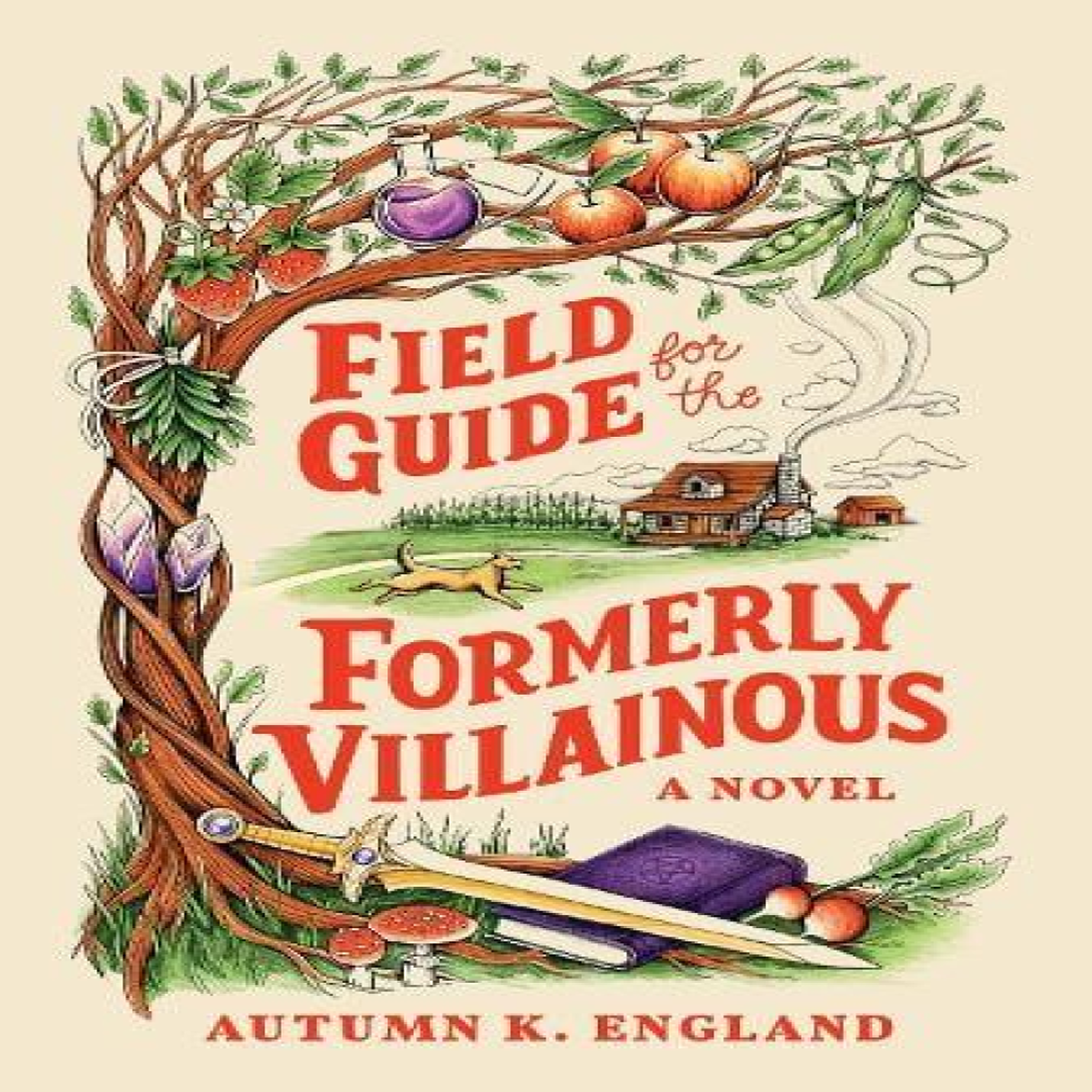 LIVRES Field Guide for the Formerly Villainous : A Cosy Fantasy Adventure Full of Magic