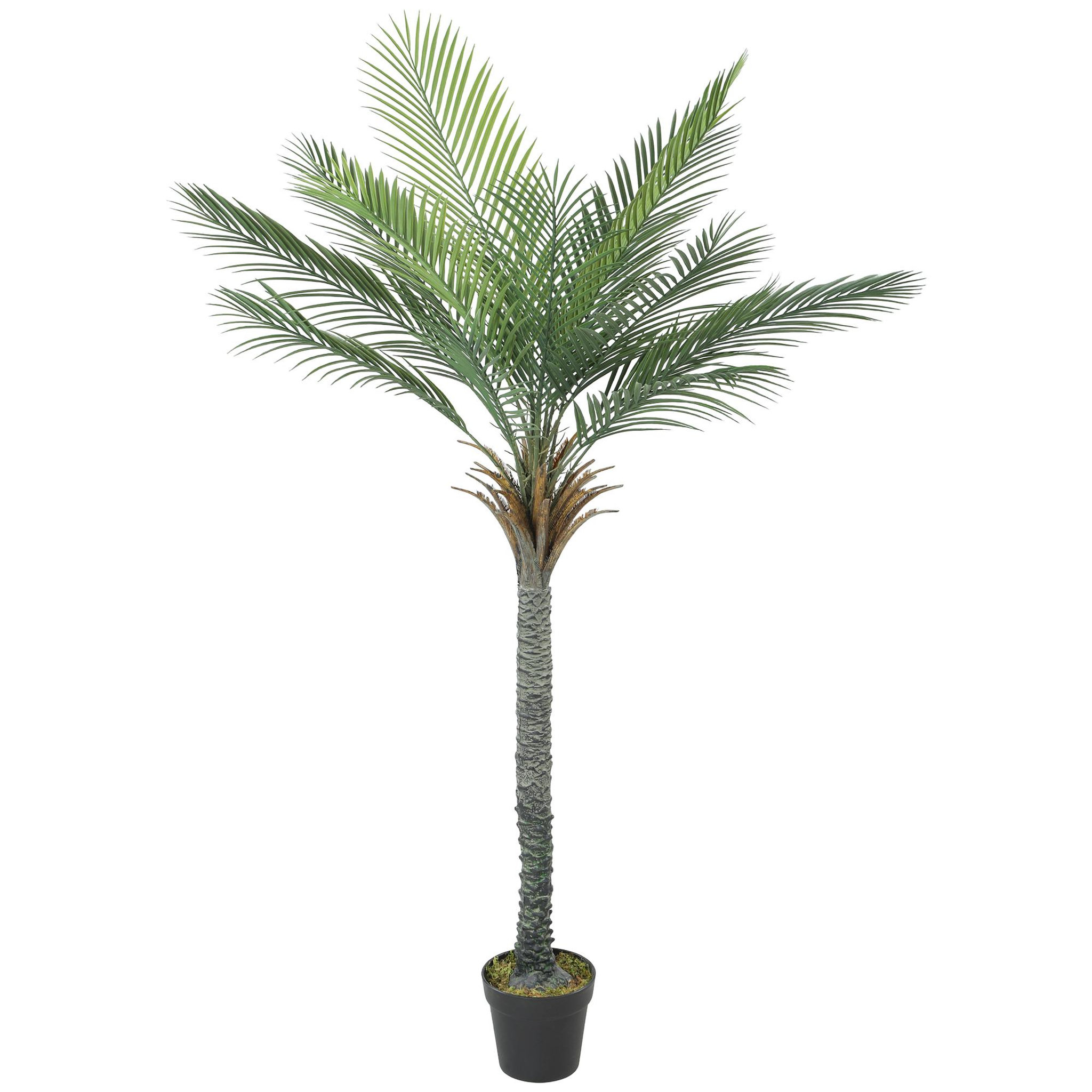 HOMCOM Grand palmier artificiel H.180 cm tropical 15 feuilles réalistes lichen pot inclus