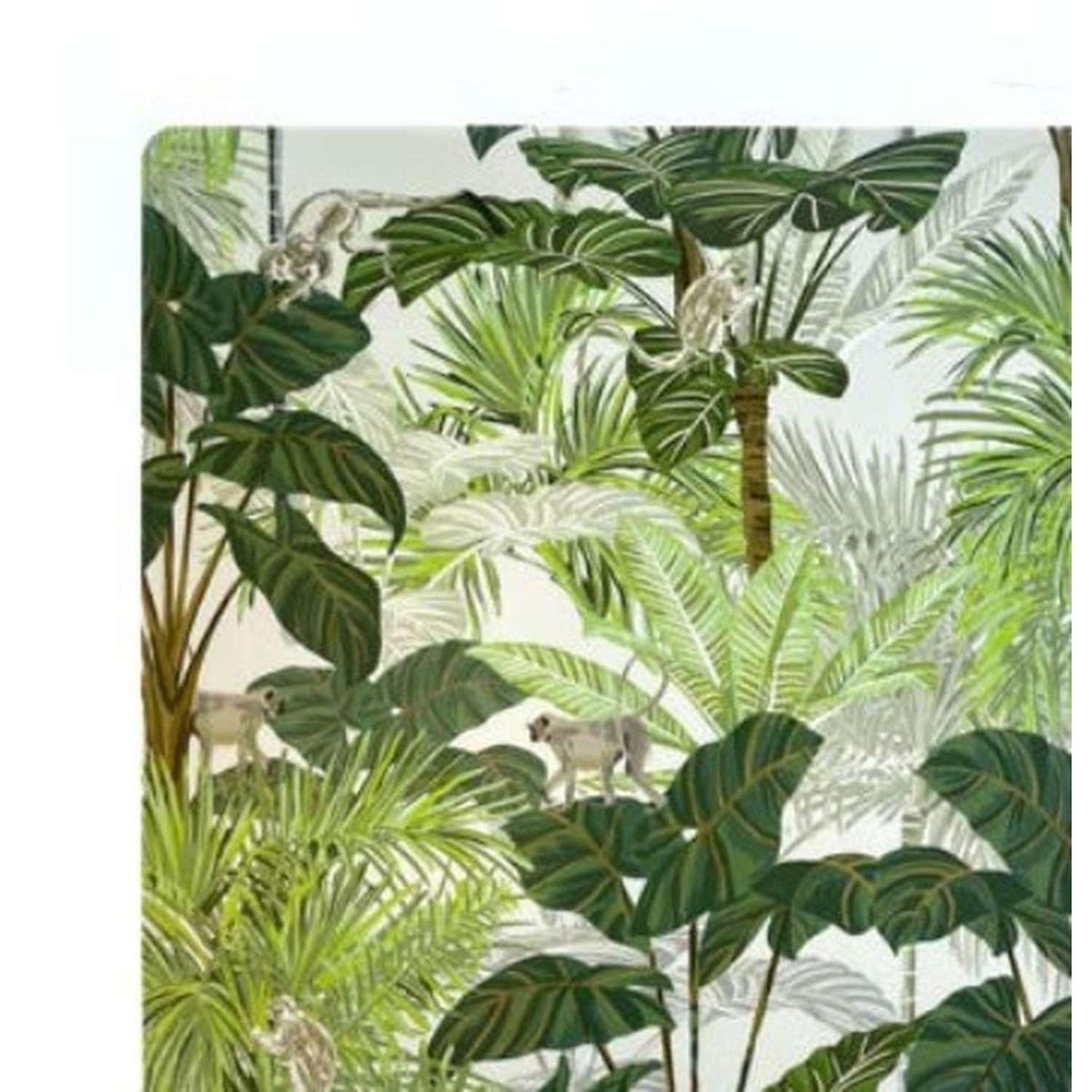 HABITABLE Lot de 6 sets de table Monkey - 28 x 43 cm - Vert