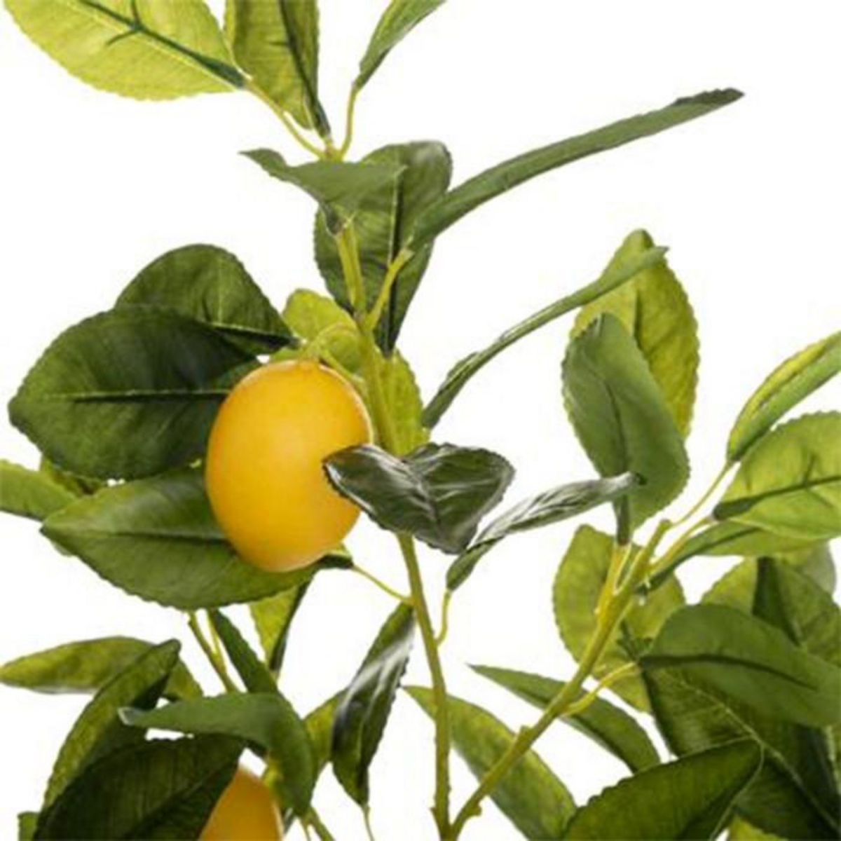ATMOSPHERA Plante Artificielle  Citronnier  73cm Multicolore