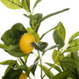 Voir la diapositive 2 : ATMOSPHERA Plante Artificielle  Citronnier  73cm Multicolore