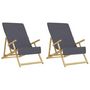 Voir la diapositive 4 : VIDAXL Serviettes de plage 2 pcs anthracite 60x135 cm tissu 400 GSM