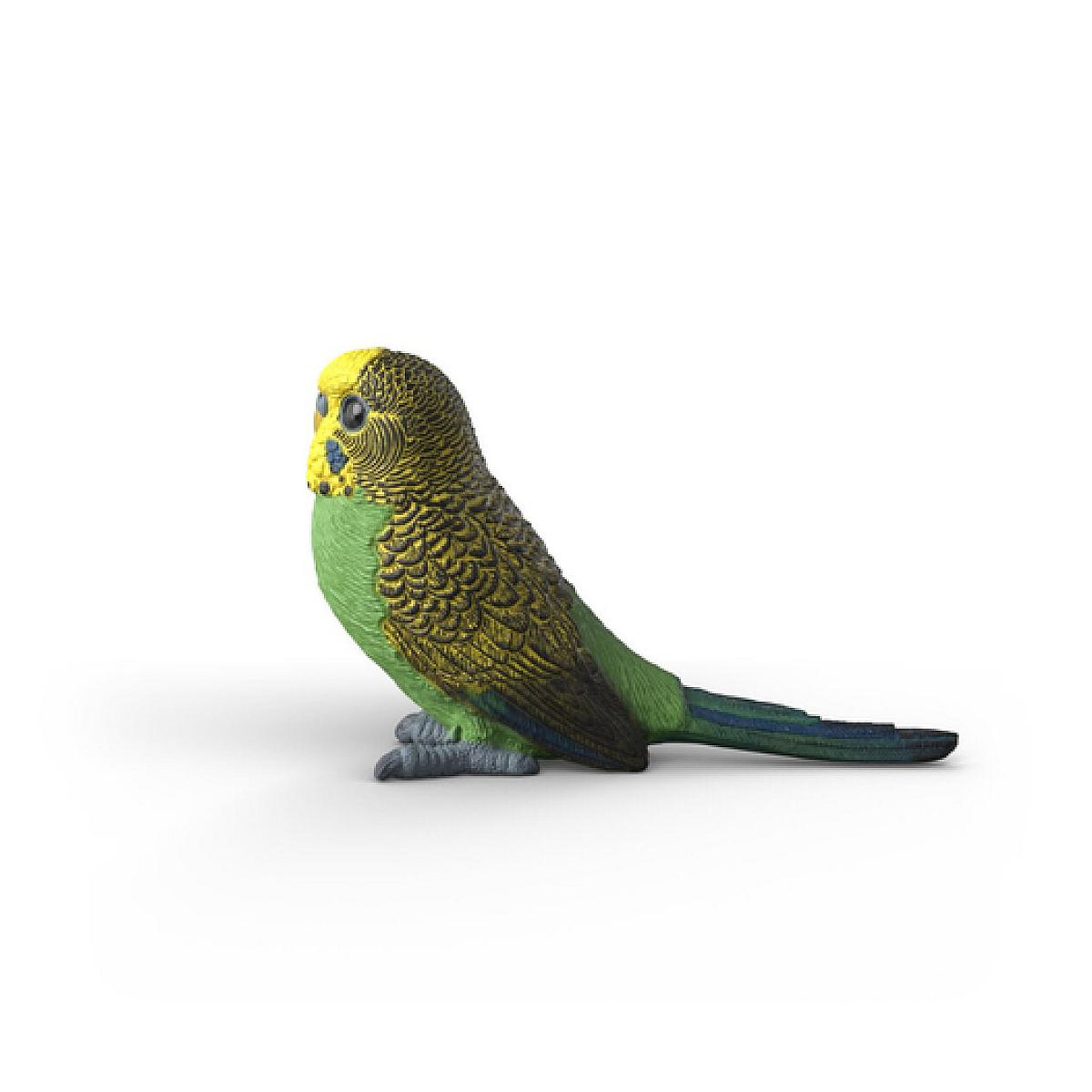 Voir la diapositive 4 : Schleich 14939 figurine Perruche ondulée