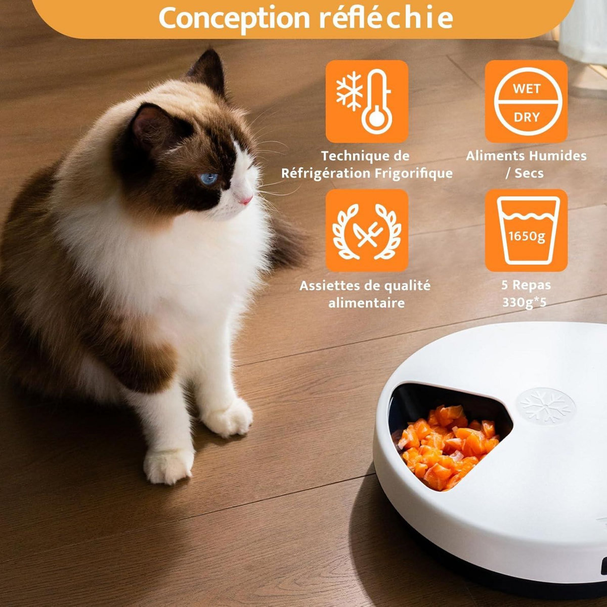 Mangeoire Automatique pour Chats, 1-4 Jours fraîcheur, 5 Compartiments pour 330 g de Nourriture pour Animaux, Assiette de qualité supérieure, Lavable, pour Chats et Chiens.