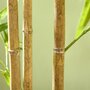 HOMCOM Bambou artificiel 1,80H m - plante artificielle - 830 feuilles réalistes, vrais troncs - pot inclus