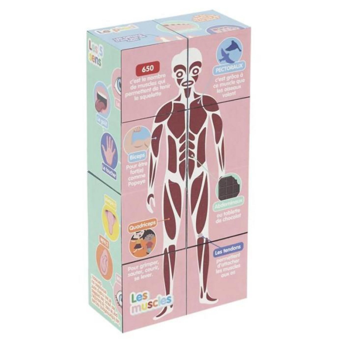 Paris Prix Cube Educatif  Corps Humain  7cm Multicolore