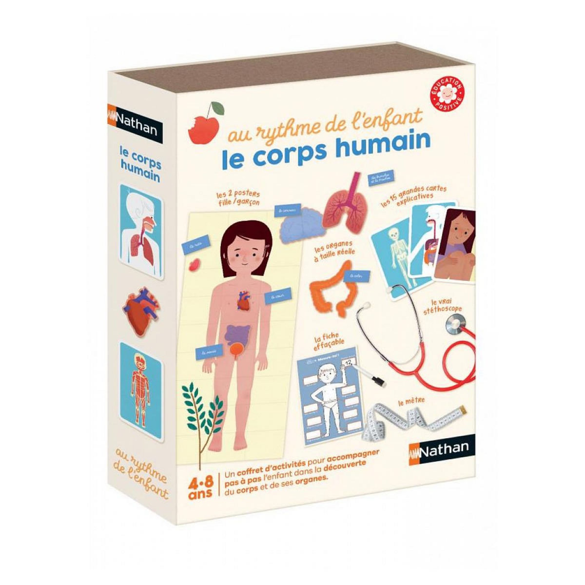 Nathan J apprend le corps humain