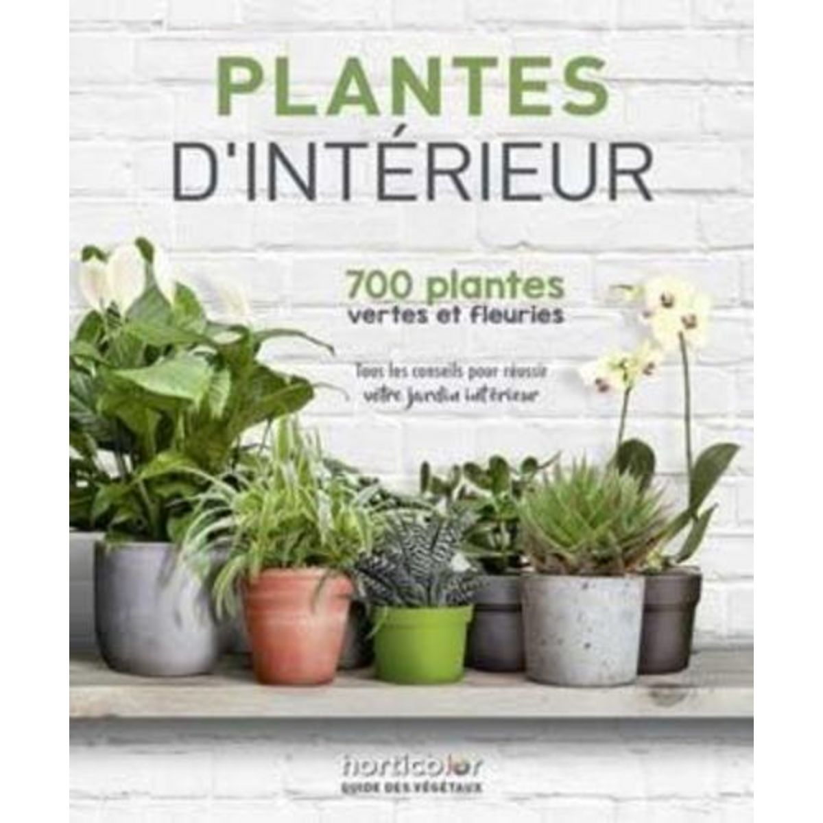 PLANTES D'INTERIEUR, Horticolor