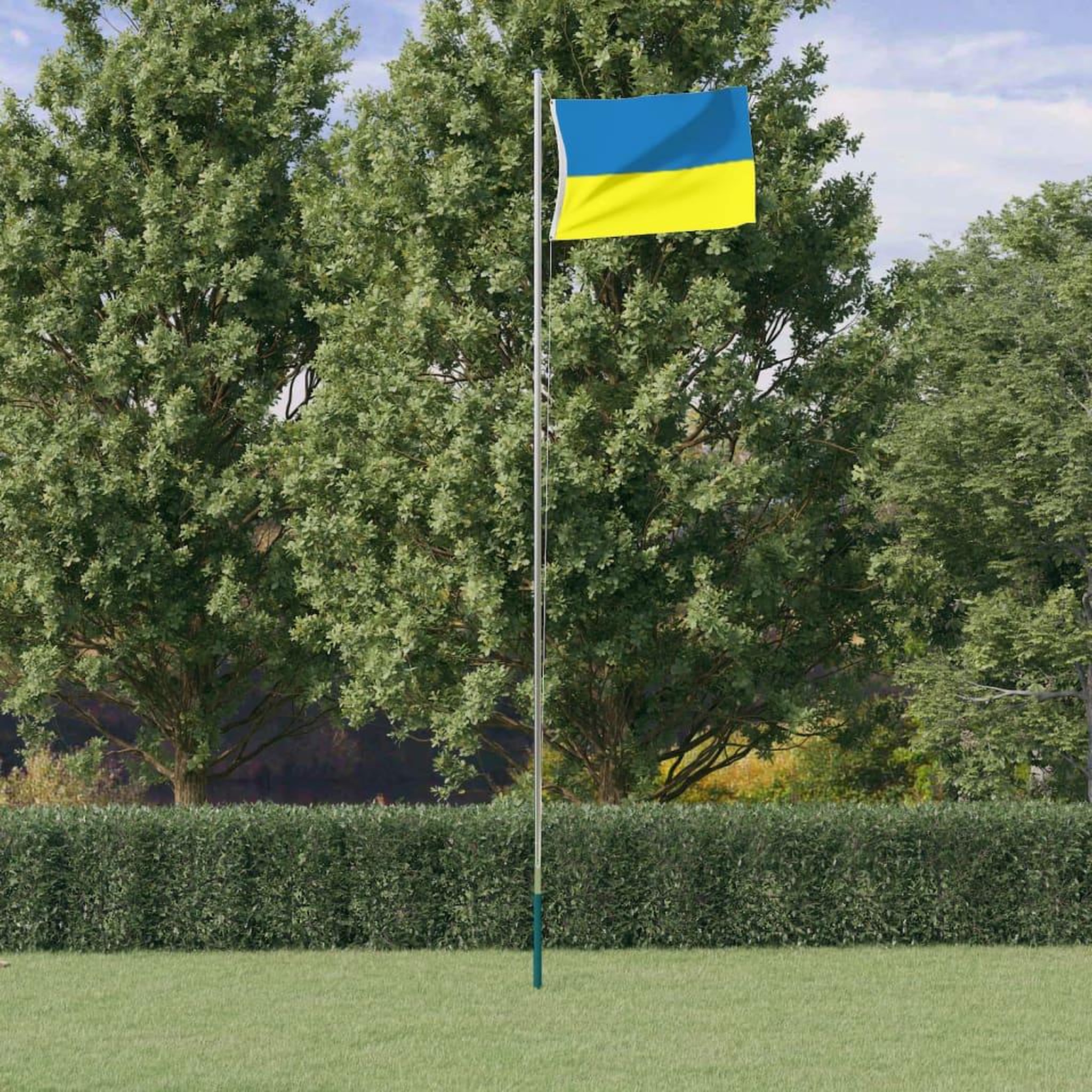 VIDAXL Drapeau de l'Ukraine avec œillets en laiton 90x150 cm