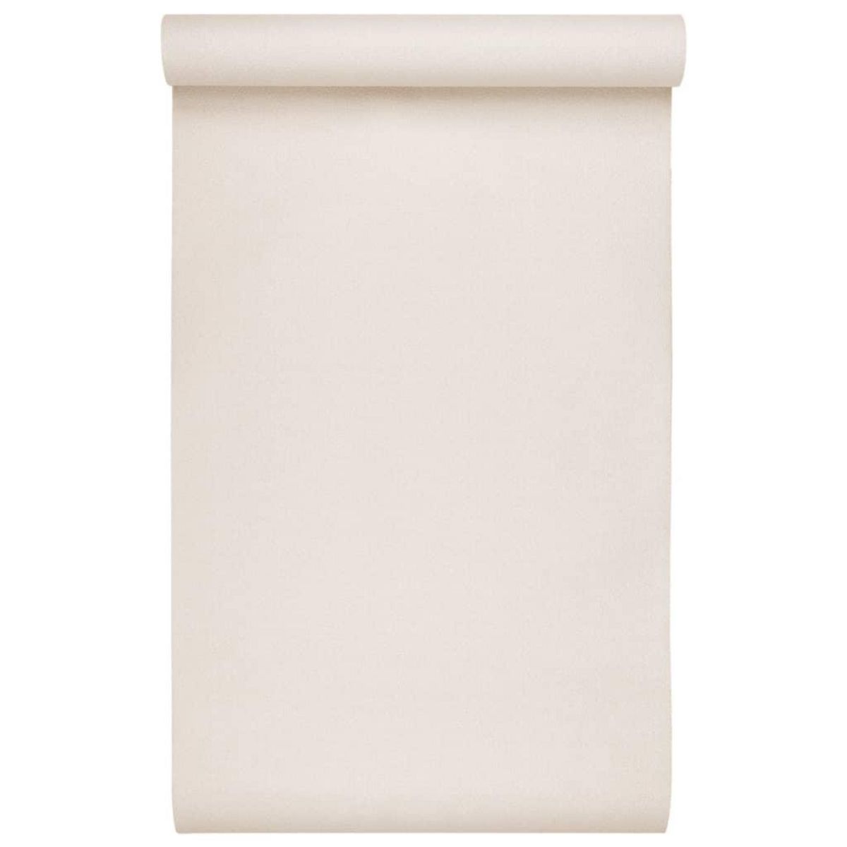 VIDAXL Papier peint 3D couleur unie beige 10x0,53 m non tisse