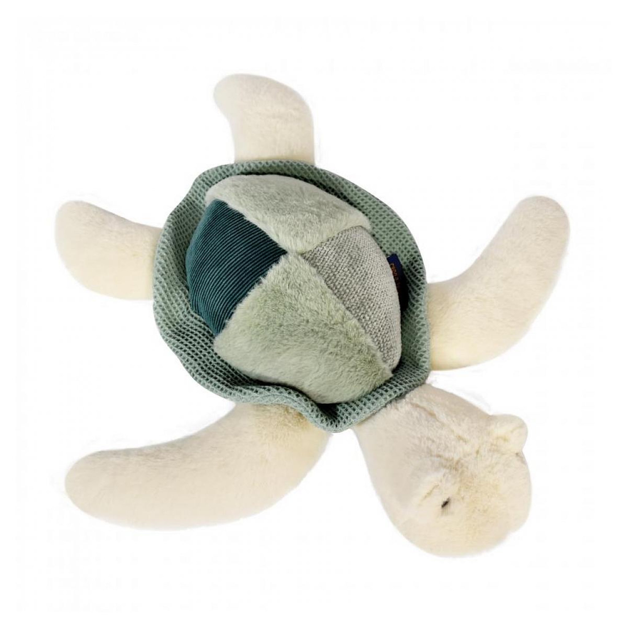 Voir la diapositive 2 : Histoire D'Ours Peluche - Tortue de mer verte