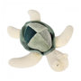 Voir la diapositive 2 : Histoire D'Ours Peluche - Tortue de mer verte