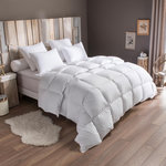 DODO Pack Duvet Couette chaude + Oreiller -50% duvet de canard. Coloris disponibles : Blanc