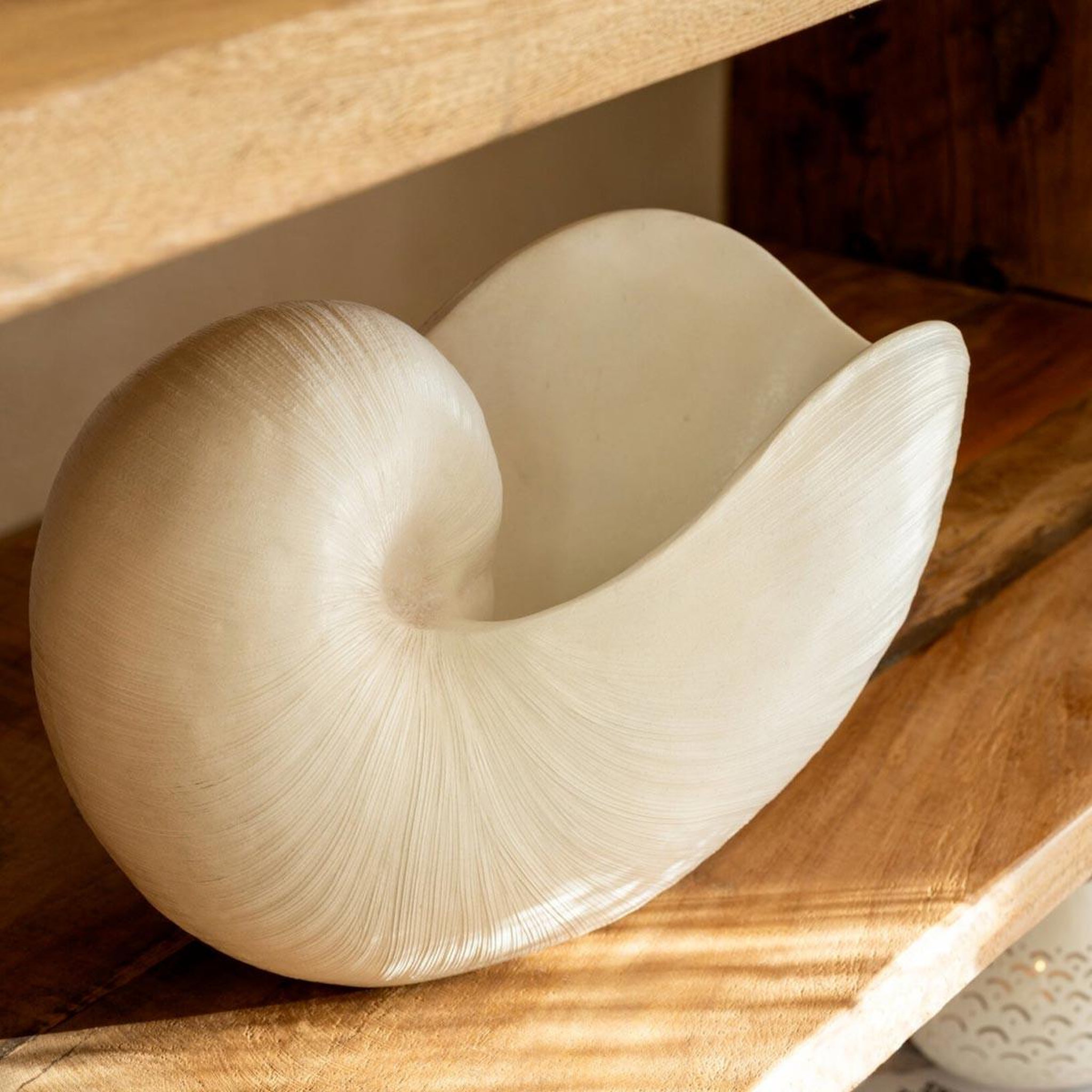Voir la diapositive 3 : J-LINE Coquillage déco en résine  marina  31cm blanc