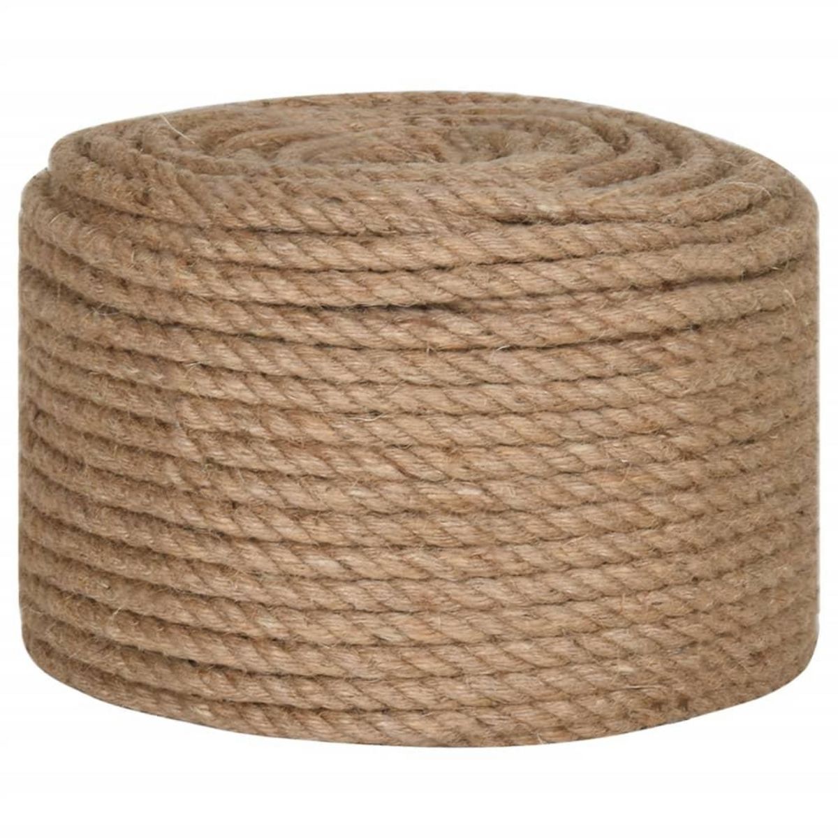 VIDAXL Corde 100 % jute 12 mm 100 m