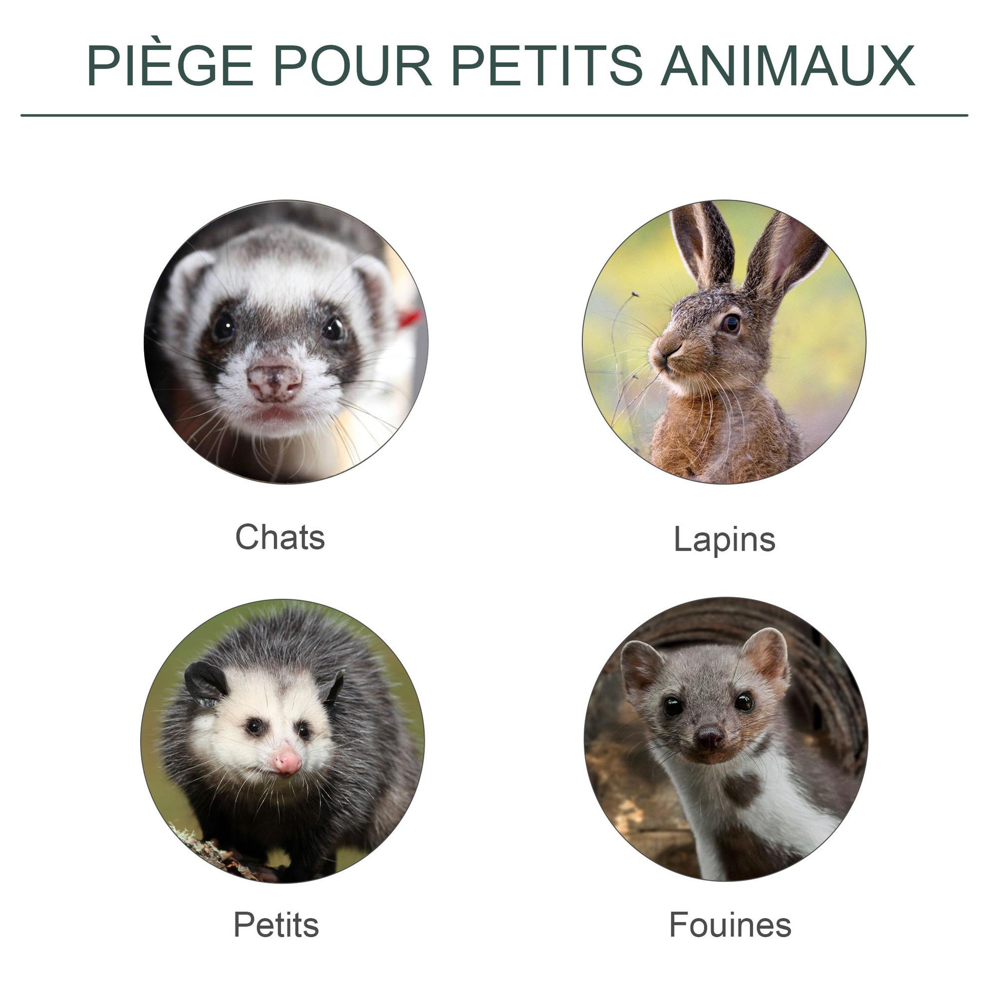 Voir la diapositive 4 : OUTSUNNY Piège de capture pour petits animaux type lapin rat - entrée, poignée - dim. 60L x 18l x 20H cm - métal vert