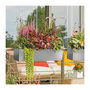 Voir la diapositive 5 : LECHUZA Pot de fleur LECHUZA Balconera Steel 80, gris perle satiné