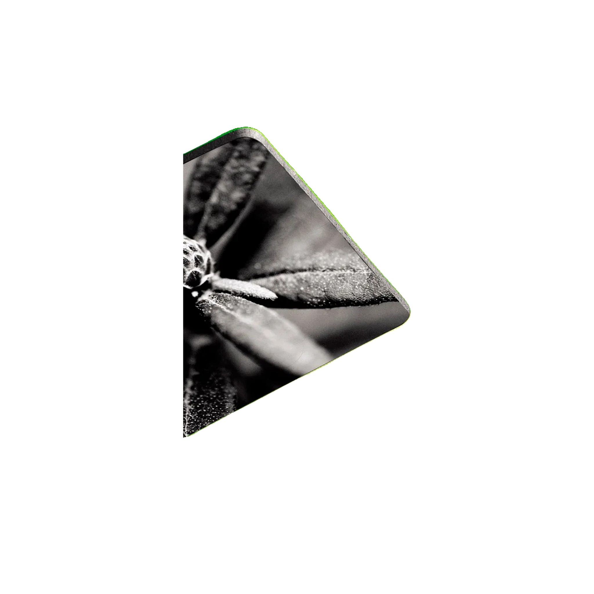 Voir la diapositive 6 : Hama Album photo Hama fine art 50 pages verte