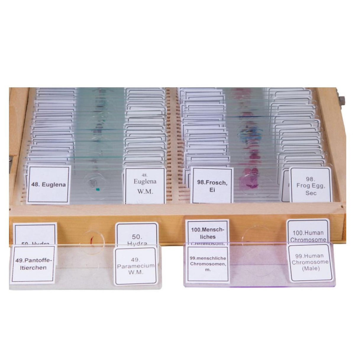 Bresser Set de 100 lames préparées , avec étui