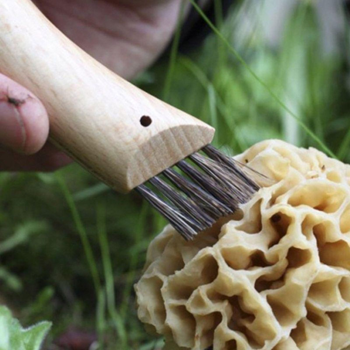 Opinel Couteau d'office Cuisine Nomade champignon