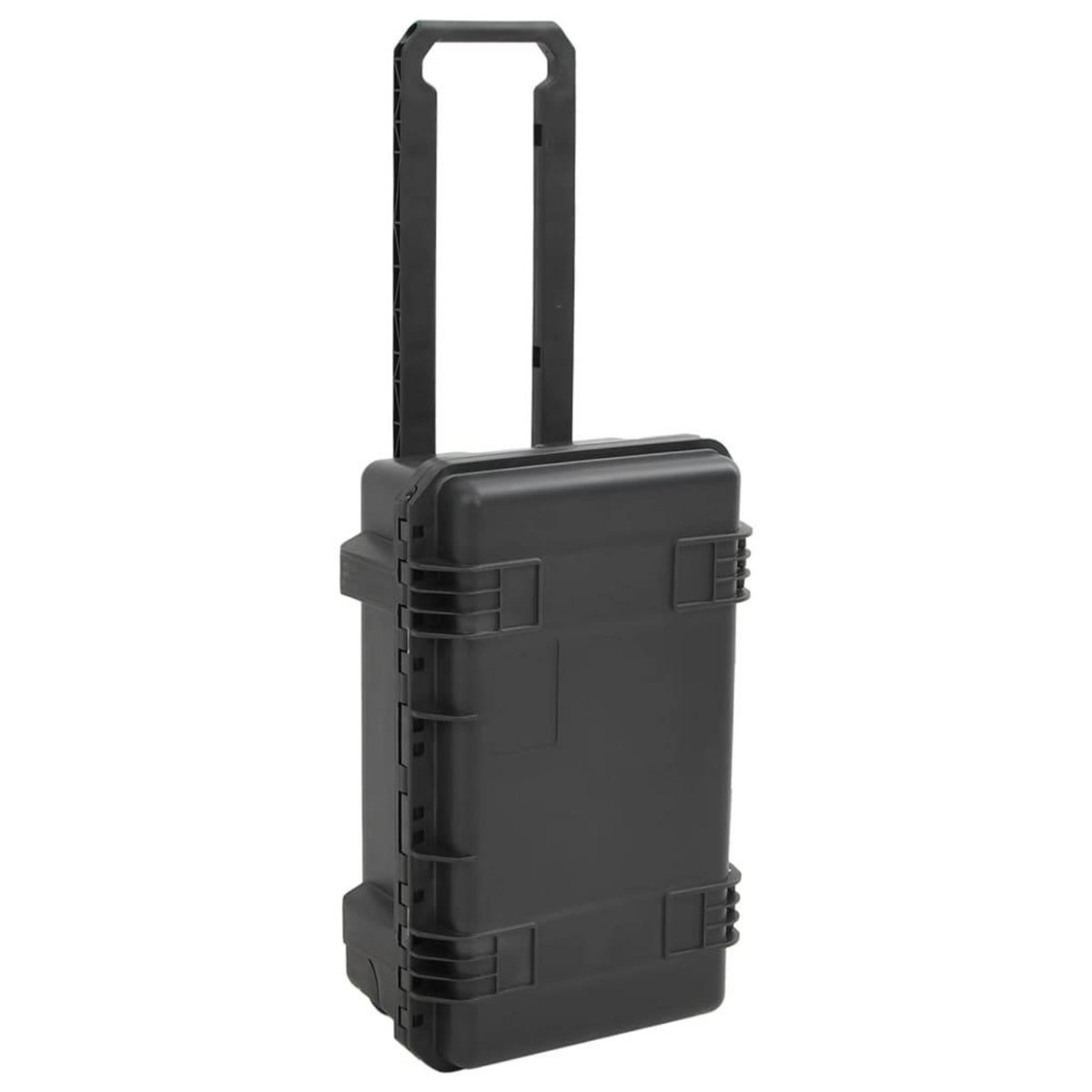 VIDAXL Valise de vol portable Noir 55x35x22,5 cm PP