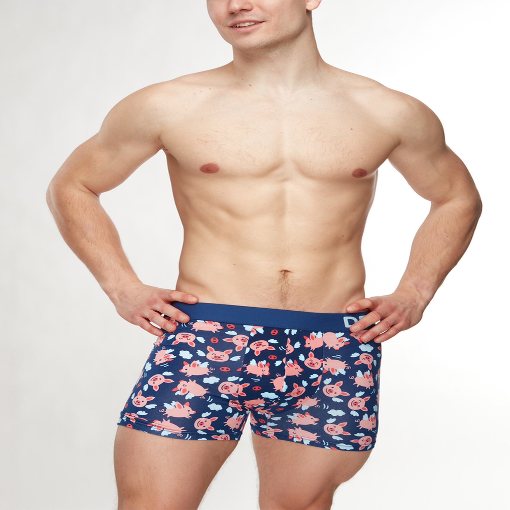 Voir la diapositive 2 : DEDOLES Boxer homme cochons ailés