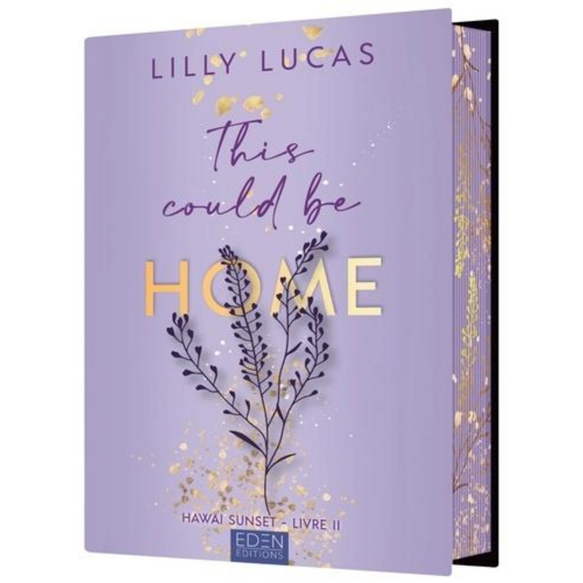HAWAI SUNSET TOME 2 : THIS COULD BE HOME, Lucas Lilly
