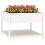 Voir la diapositive 4 : VIDAXL Jardiniere et etagere Blanc 111,5x111,5x81cm Bois massif de pin