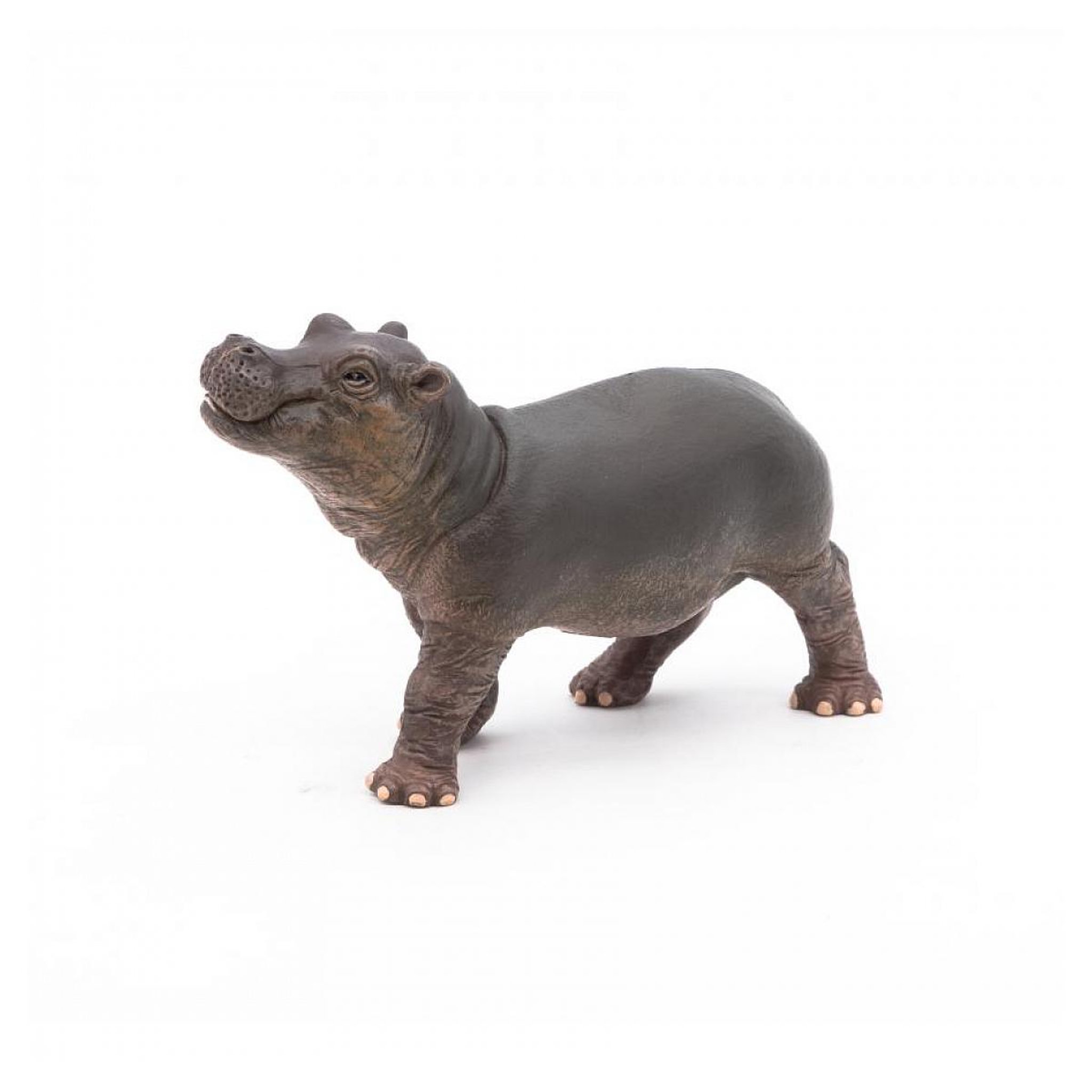 Voir la diapositive 2 : Papo 50052 Bébé hippopotame figurine