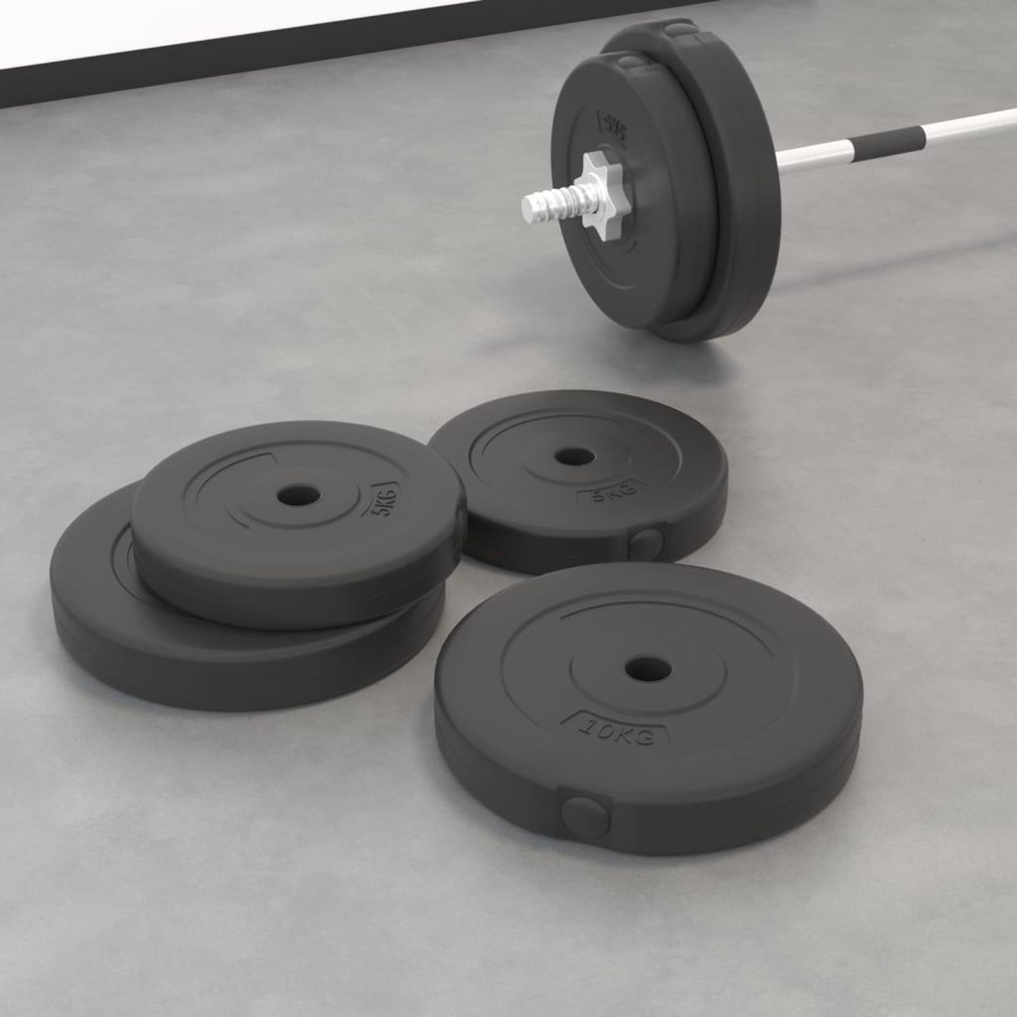 VIDAXL Plaques de poids 4 pcs 30 kg Beton