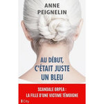 AU DEBUT, C'ETAIT JUSTE UN BLEU, Peignelin Anne