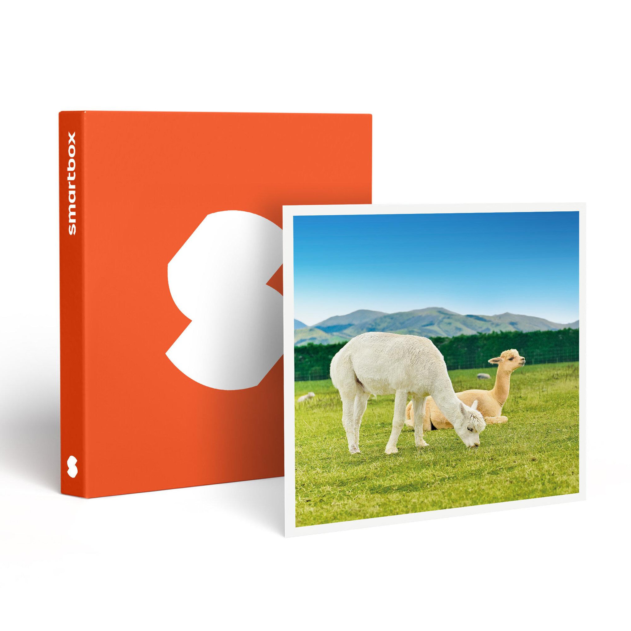 Smartbox Découverte des animaux - Coffret Cadeau Multi-thèmes