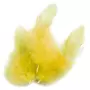 Graine créative Plumes de coq 10 cm - jaune