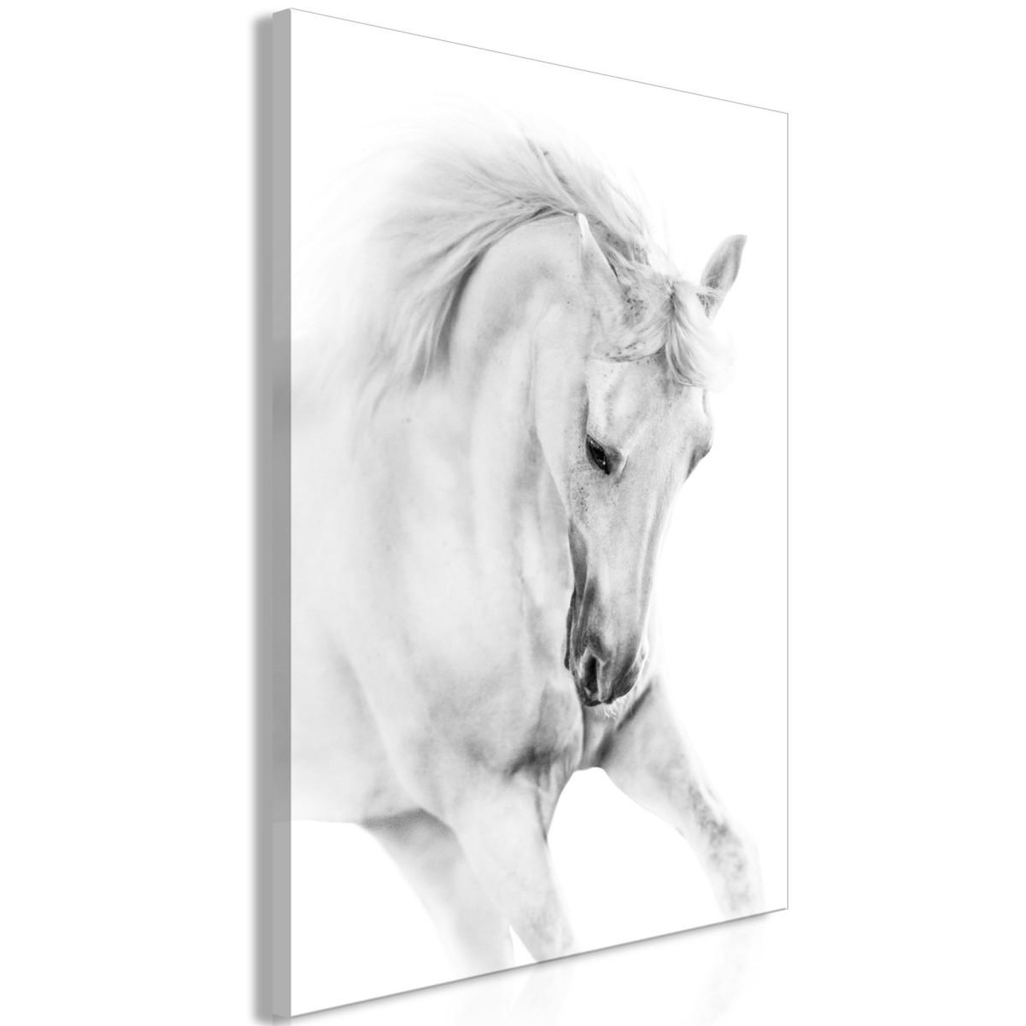 Paris Prix Tableau imprimé  white horse. Coloris disponibles : Multicolore