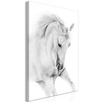 Paris Prix Tableau Imprimé  White Horse. Coloris disponibles : Multicolore