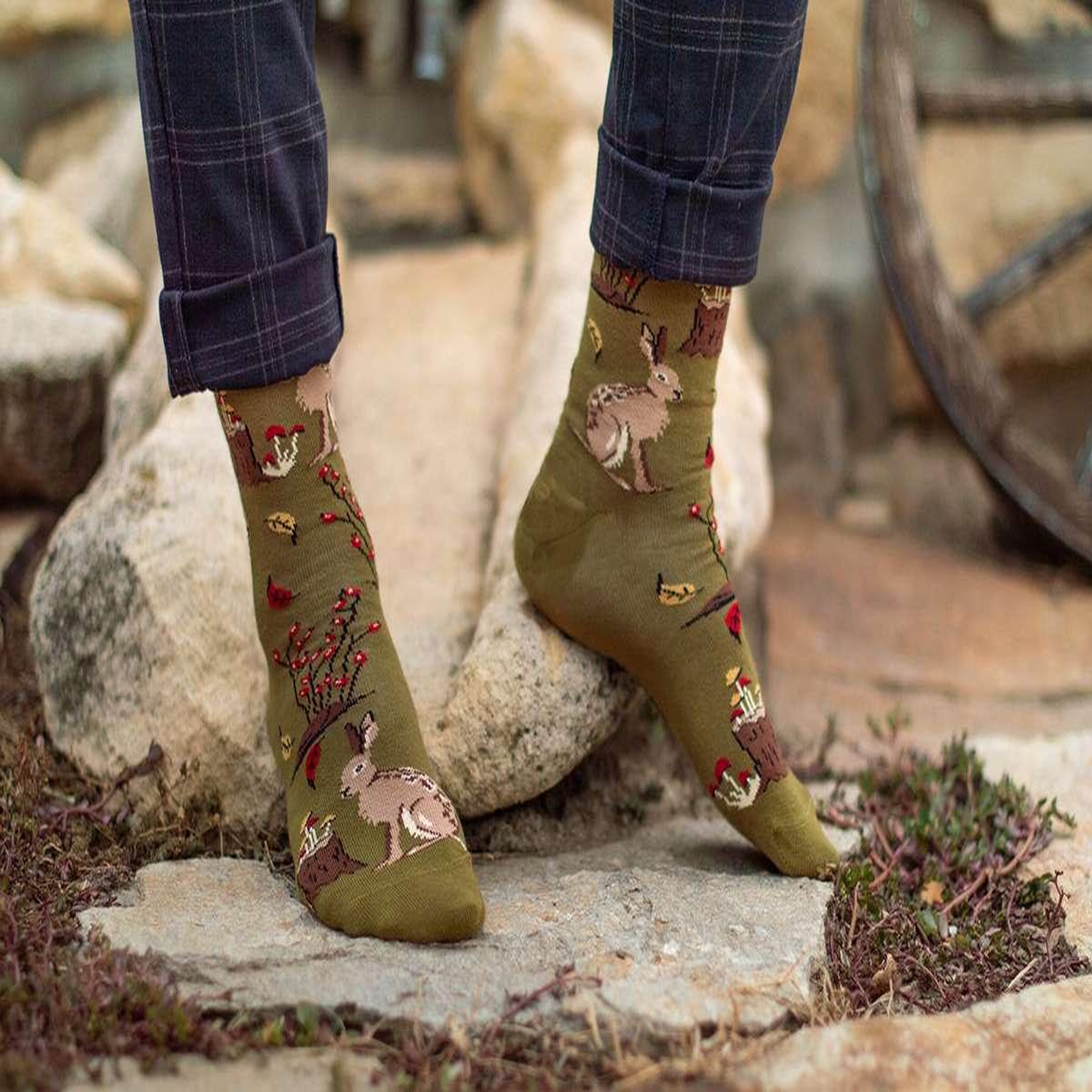 Voir la diapositive 6 : PIRIN HILL Chaussettes coton bio automne lièvres