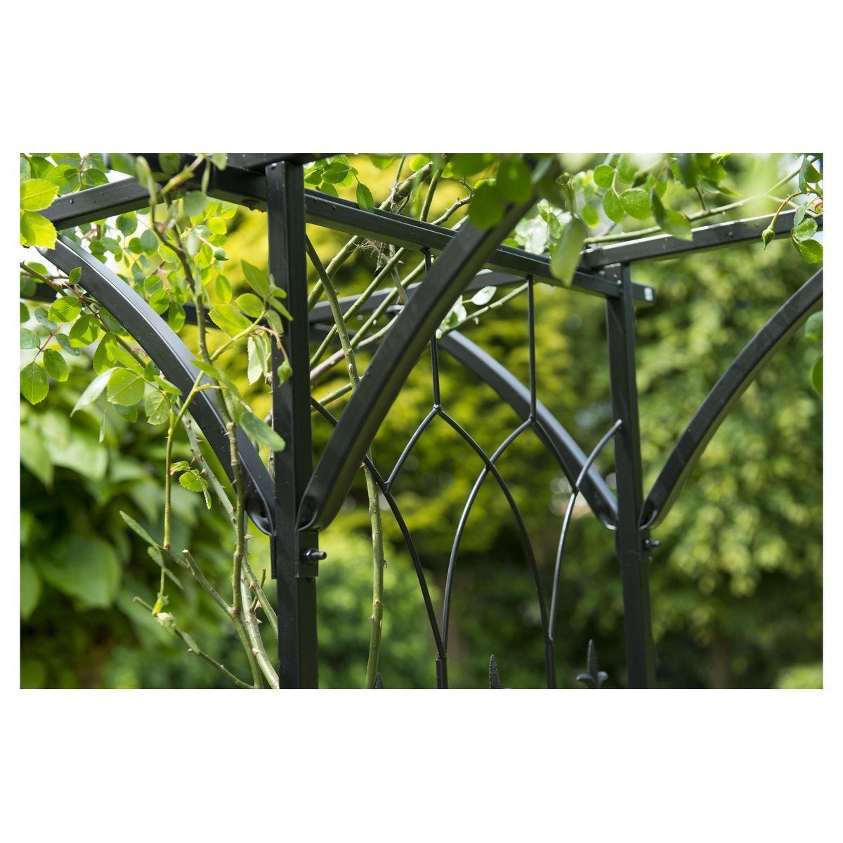 Nature Pergola double droite en acier galvanisé noir